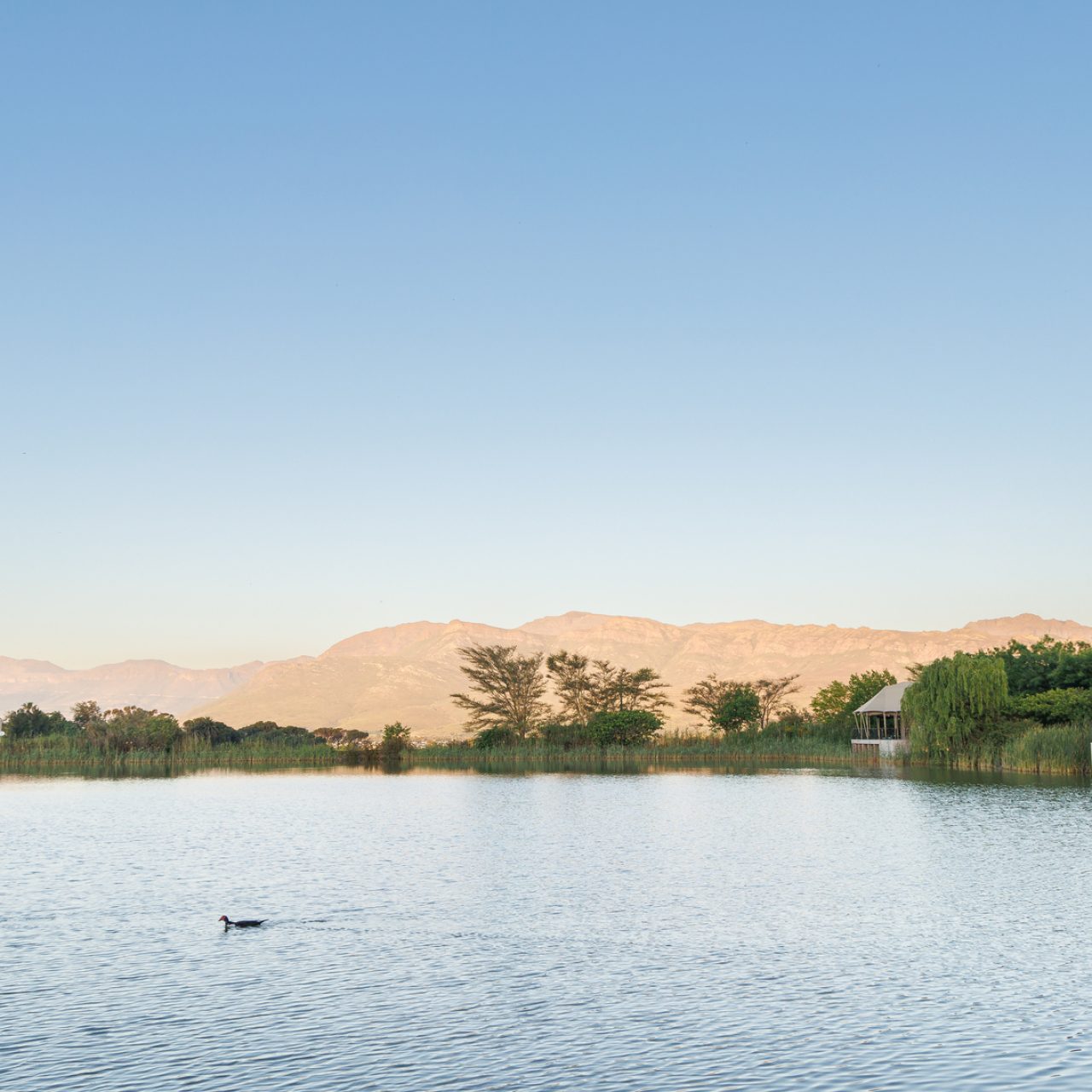 Dawn Mountains Estate