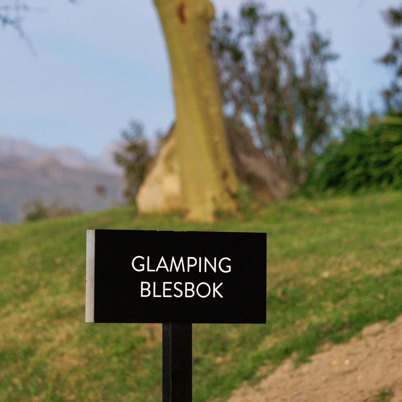Lakeside Glamping Blesbok (2.1)