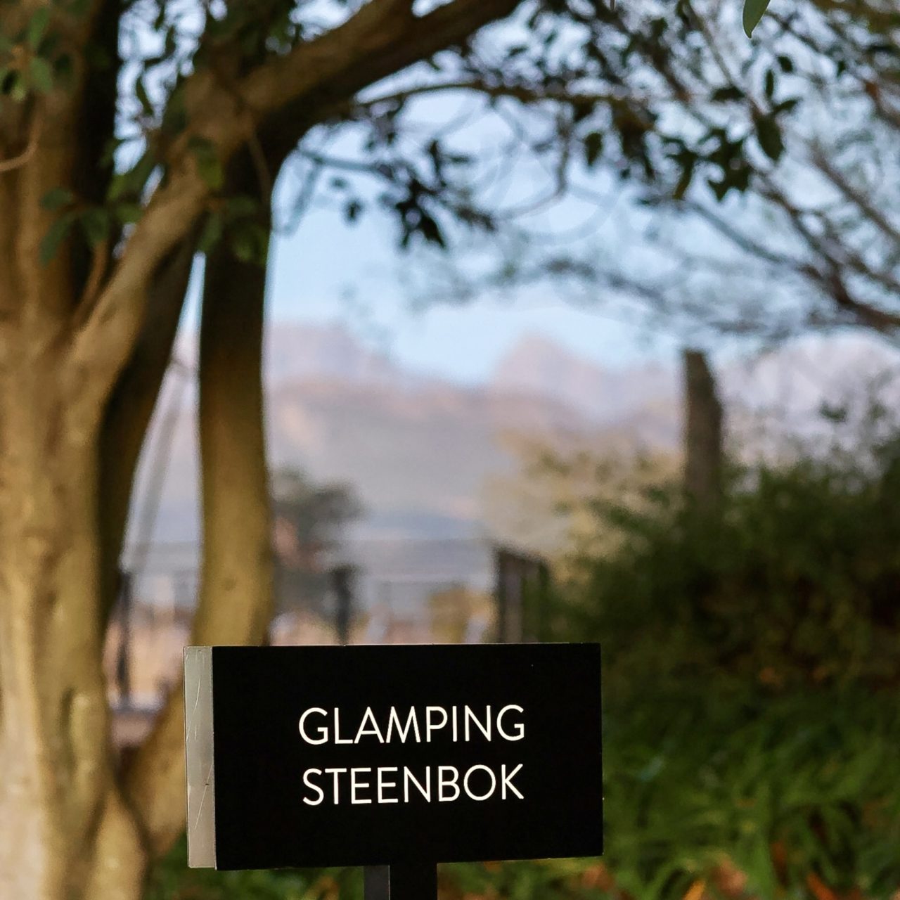 Lakeside Glamping Steenbok (3)