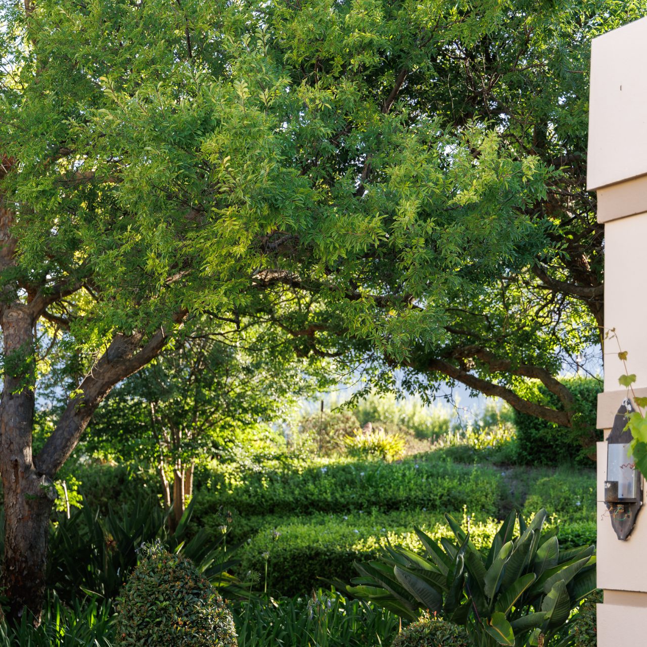 Luxury Patio Villa (14)