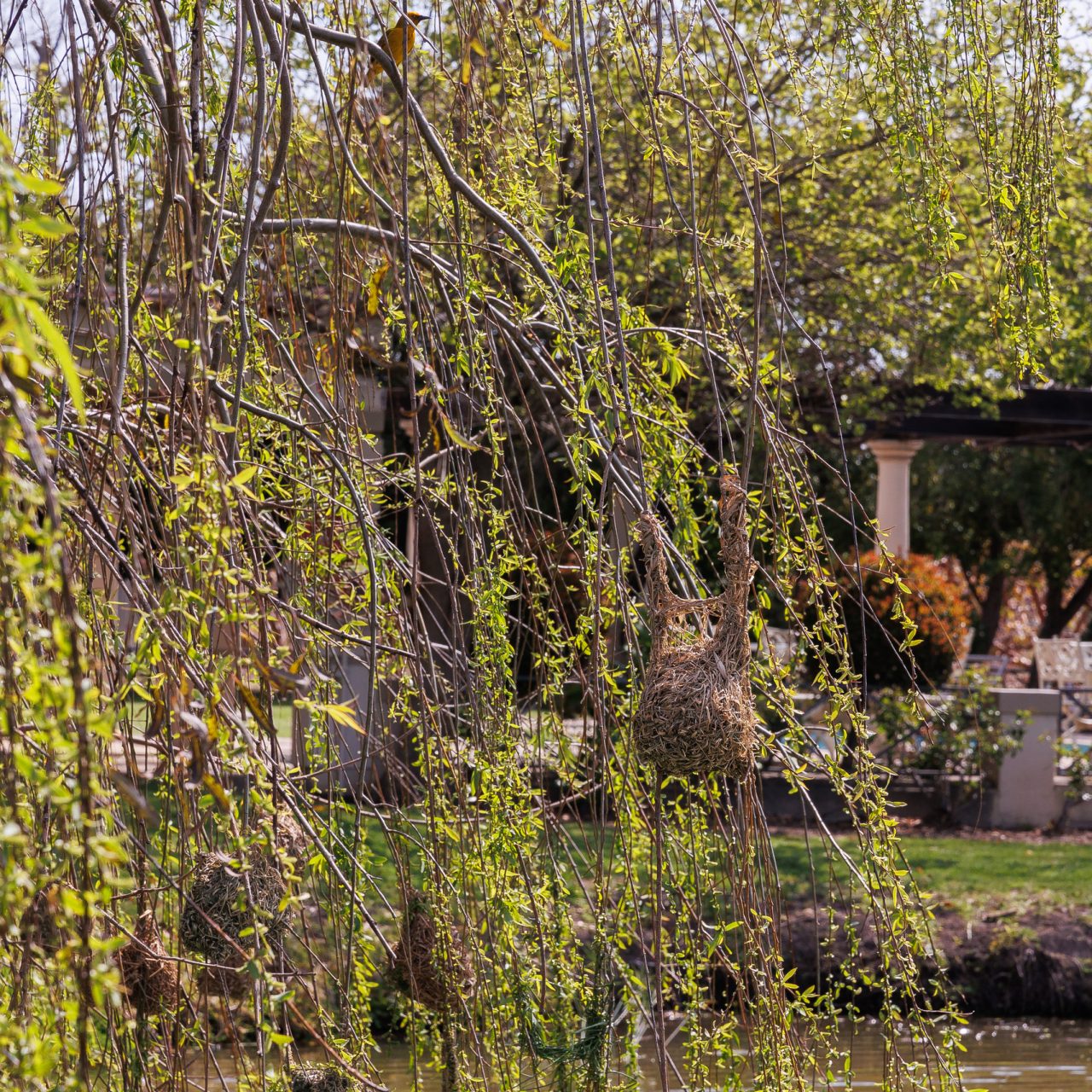 Luxury Pool View Apartment (4)