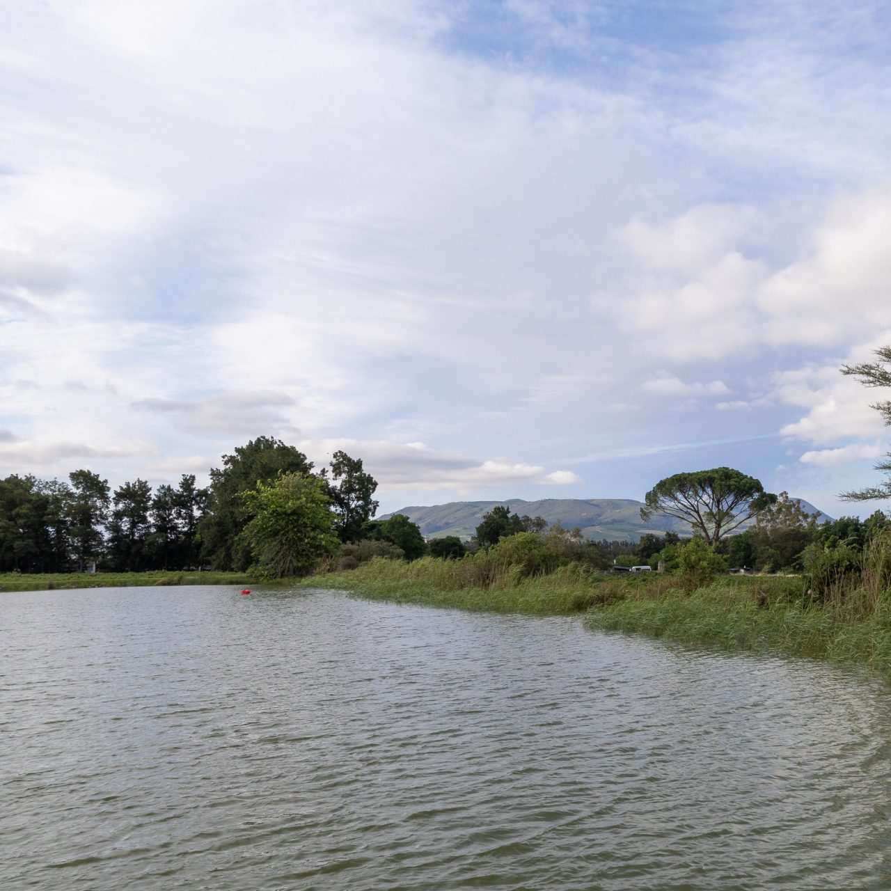 Tranquil Lakeside Cottage