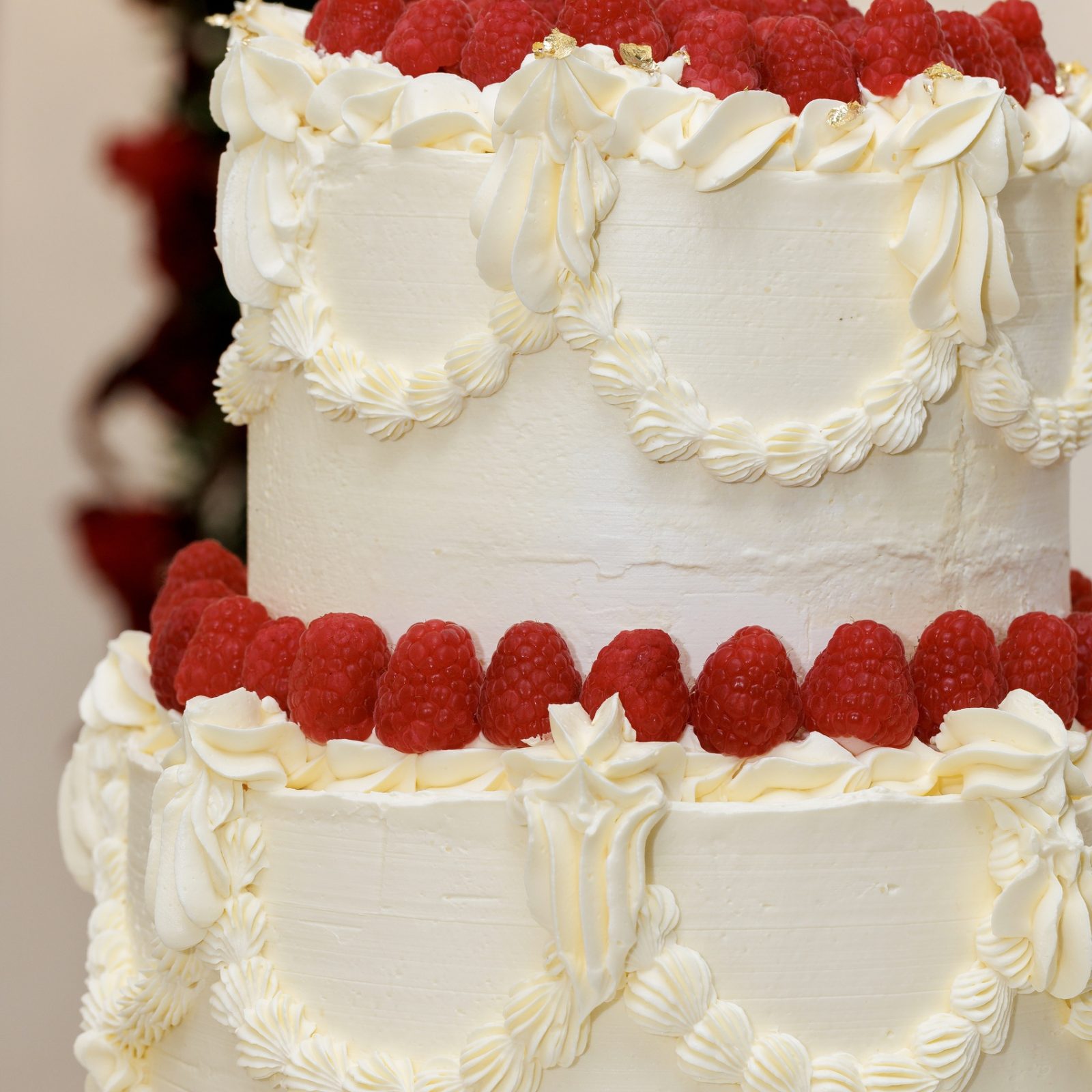 Zaiba & Sherdil Wedding (10)